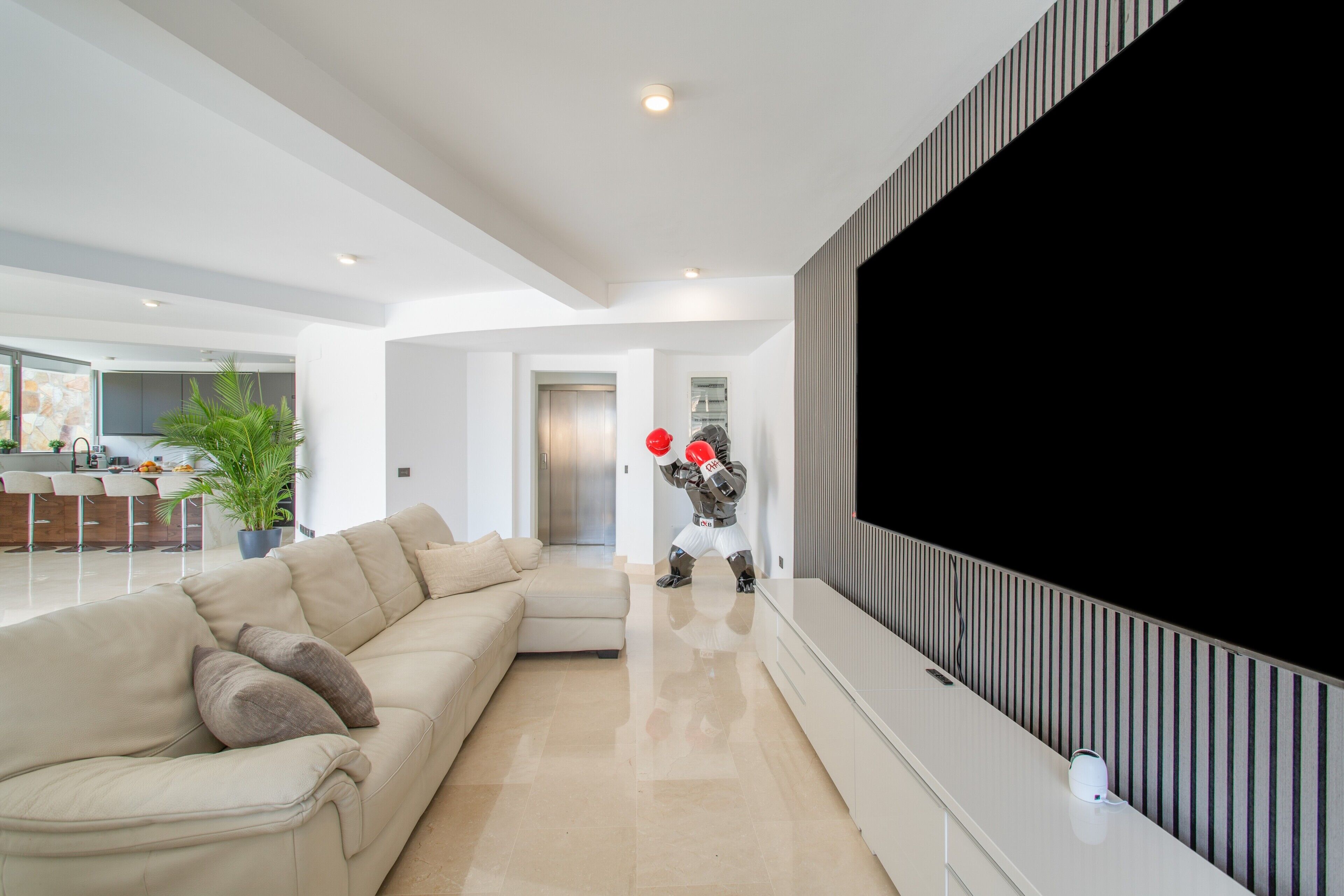 TV, video games, table tennis