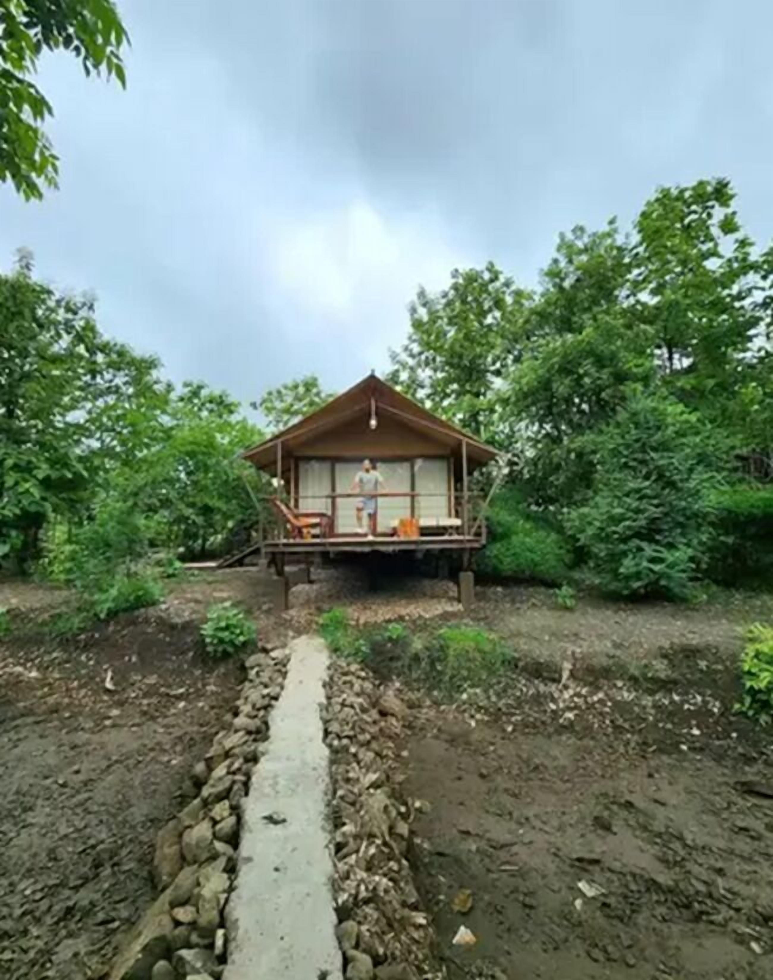 露台/庭院