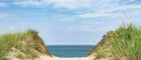 Plage à proximité