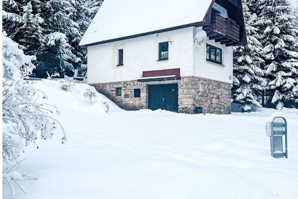 Schnee, Winter, Haus, Hütte, Zuhause, Einfrieren, Geologisches Phänomen, Steigung, Zweig, Lärche