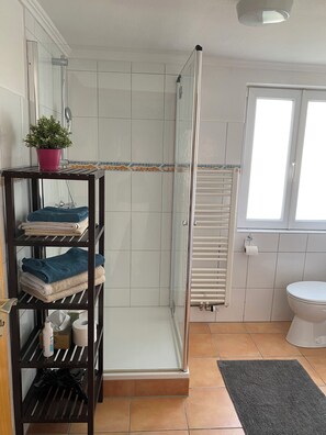 Hair dryer, towels, soap, toilet paper
