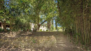 A stone pathway leading to a stone building surrounded by trees and bamboo. - Lovely apartment for 5 people with WIFI, patio and pets allowed (Riparbella)