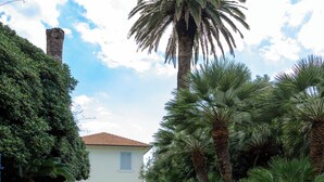 Ein Haus mit Garten, Schwimmbad und Palmen.