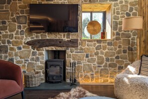 TV, fireplace, offices - Wyke View | Ridgestone (Bowness-on-Windermere)