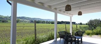 PP12 - Potenza Picena, spacious three-room apartment with pool and air conditioning