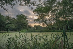 Miscellaneous - 5 Minutes to the Kruger National park gate. Nice quietly Family- sized Villa. (Phalaborwa)