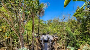 A wooden pathway leading through a lush garden with various plants and a clear blue sky. - Mission Bay Canyon House | Spanish View Retreat (San Diego)