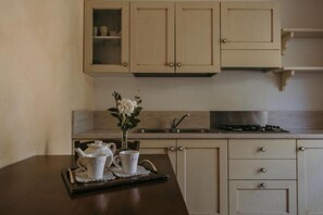Classic Apartment, Garden View | Private kitchen