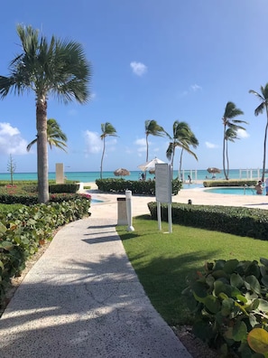 Ein Weg führt zu einem Poolbereich mit Palmen und freiem Blick auf den Ozean.