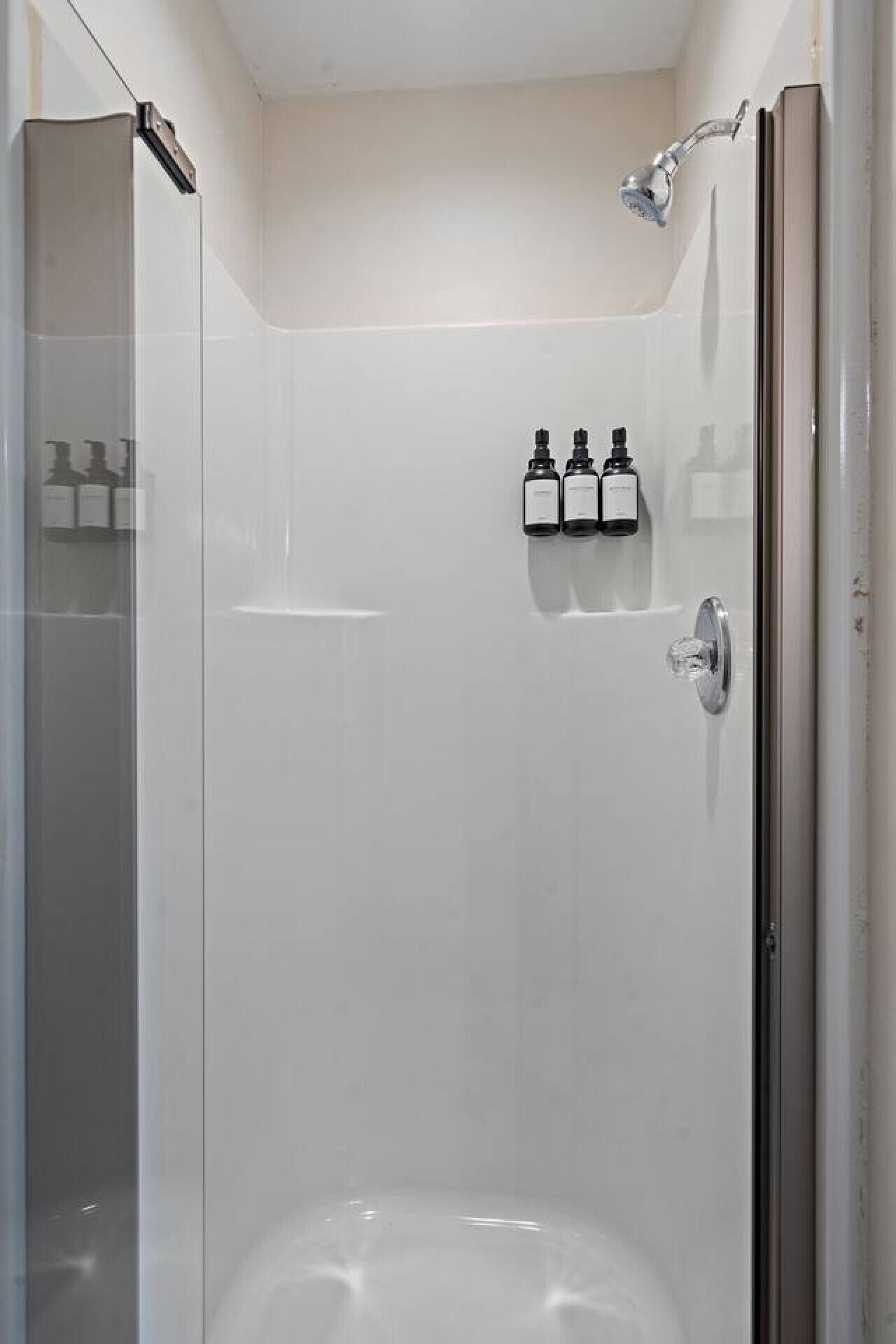 Hair dryer, towels, shampoo, toilet paper