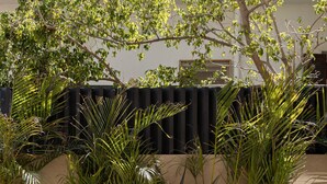 Uma área de piscina com parede bege, plantas de palmeira e cerca preta.