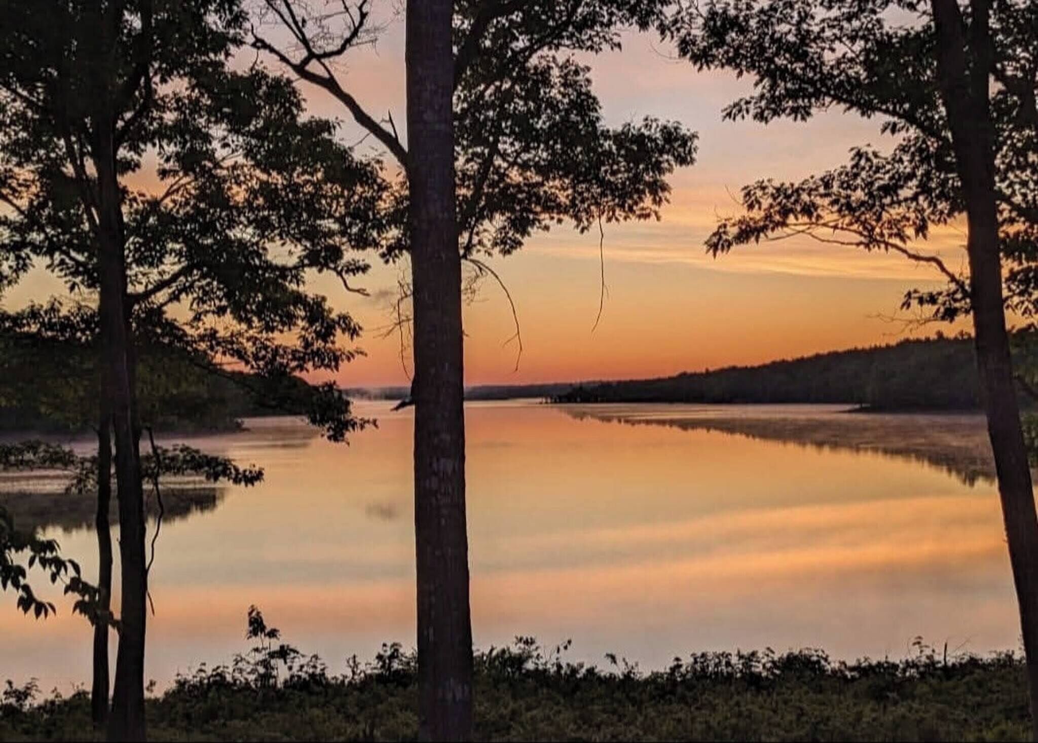 Un paysage paisible au bord d’un lac, avec des arbres qui encadrent la vue.