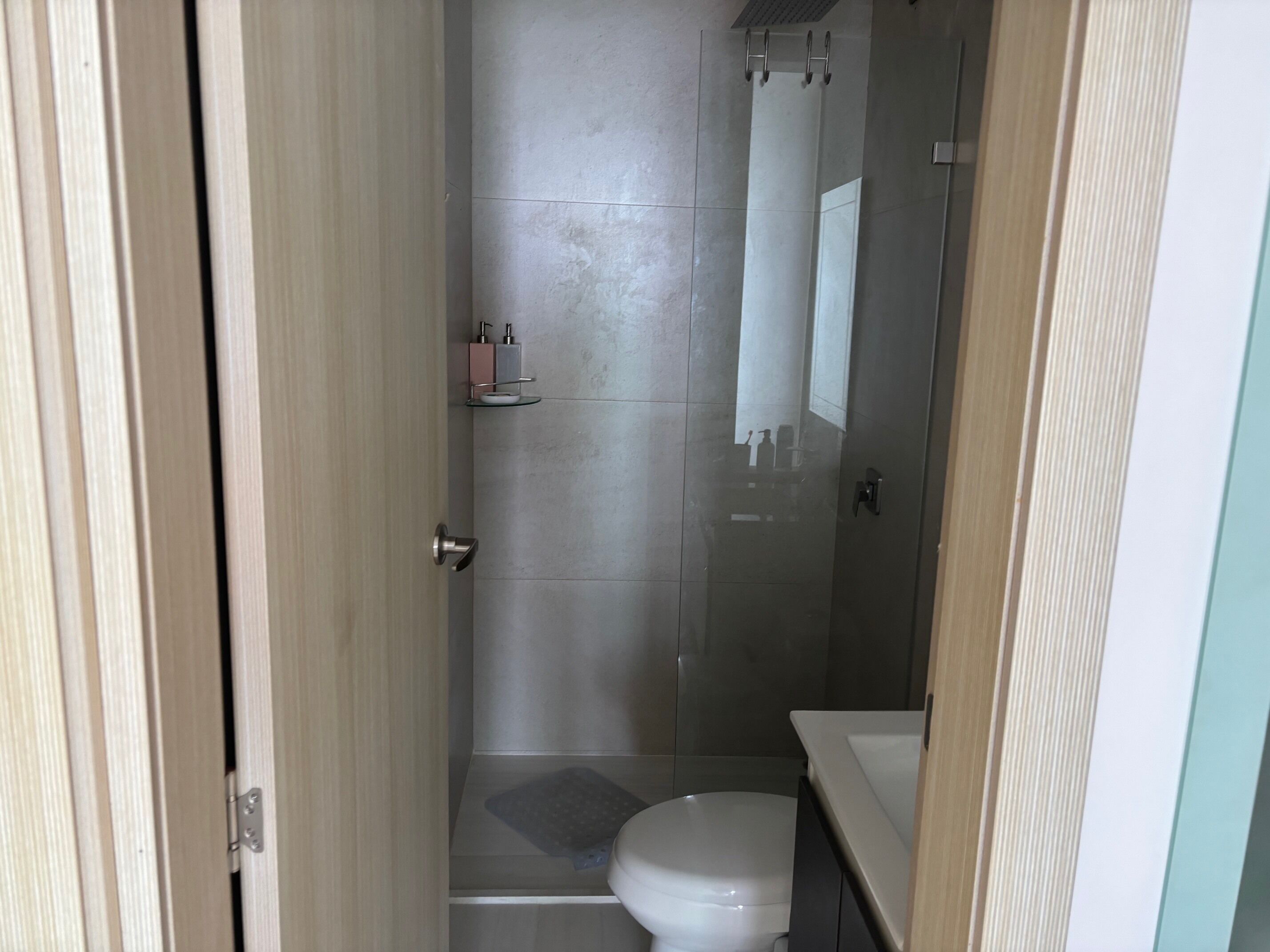 Une salle de bain avec des toilettes, une douche et un lavabo.