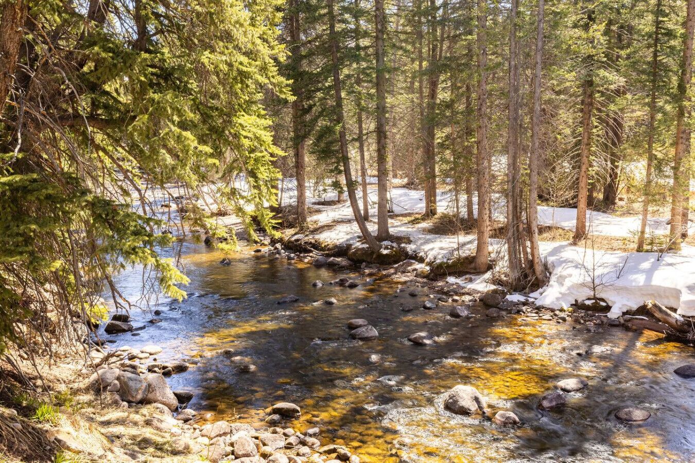 A forested area with a stream, rocks, and snow patches.
