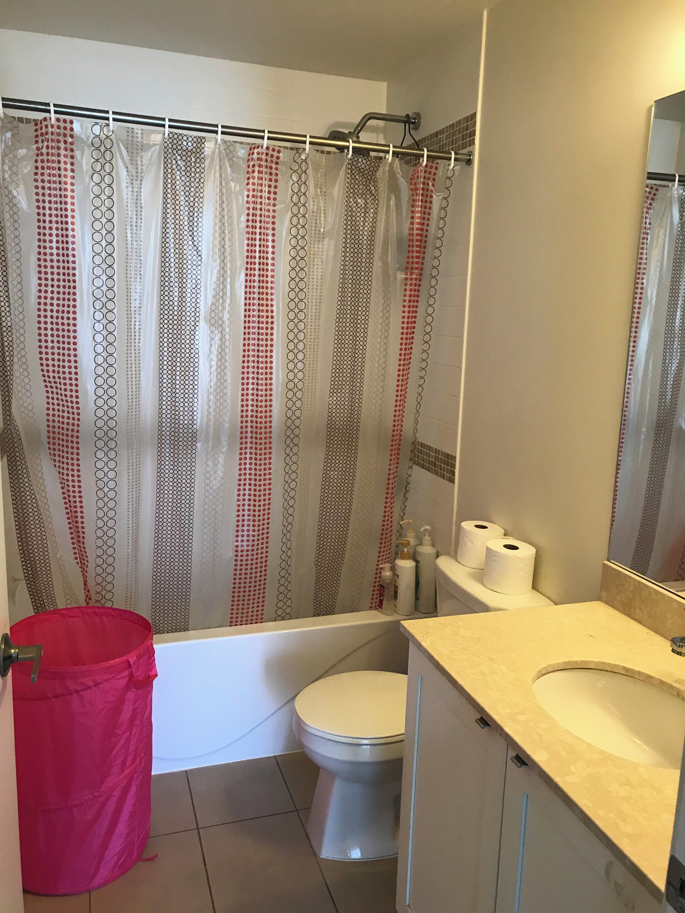 Hair dryer, towels, soap, toilet paper