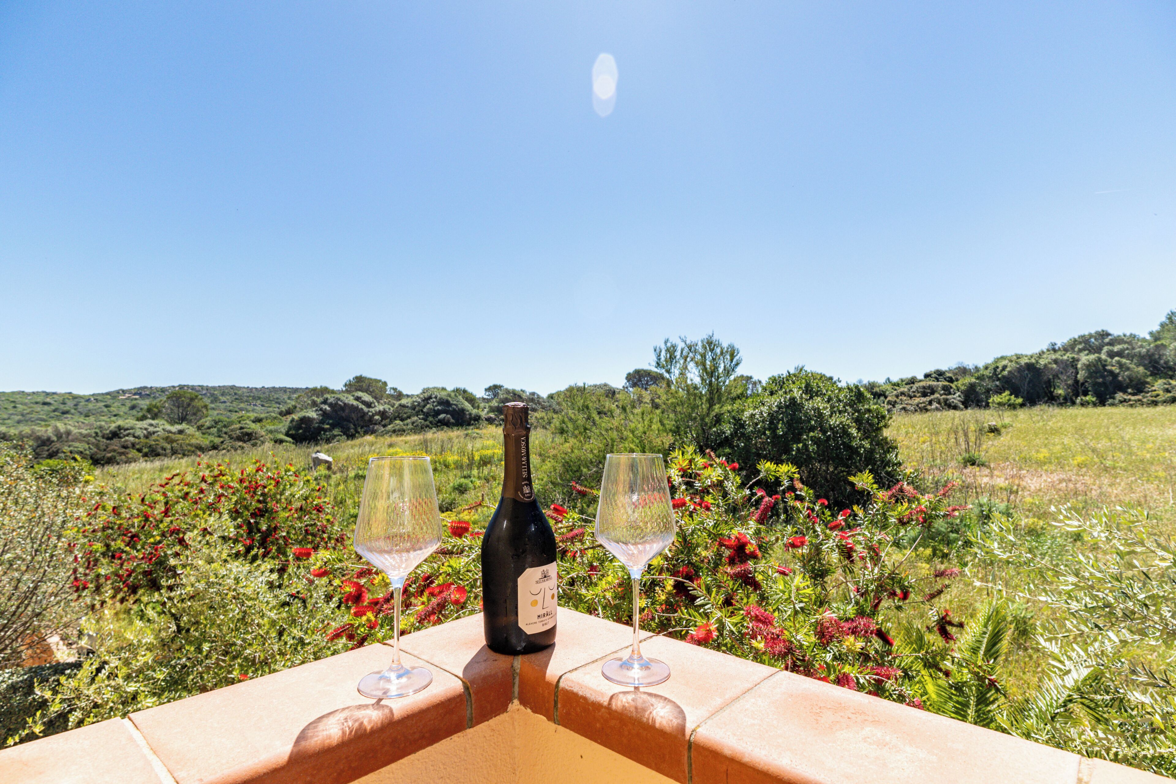 A bottle of wine and two glasses on a table with a view of a field and trees.
