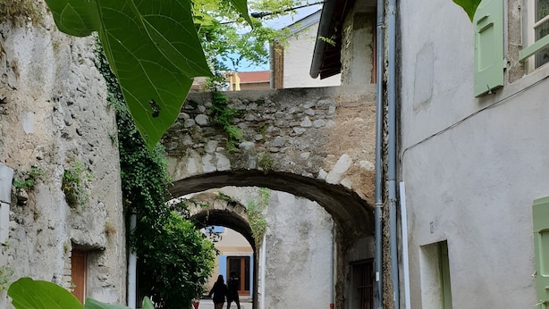 Una estrecha calle adoquinada con un arco de piedra, plantas en macetas y un edificio con fachada blanca y contraventanas verdes.