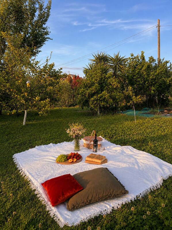 A picnic setup on a grassy area with a blanket, food, and a bottle. - Detached apartment with a private garden and pergola - dog-friendly (Valle di Vado)