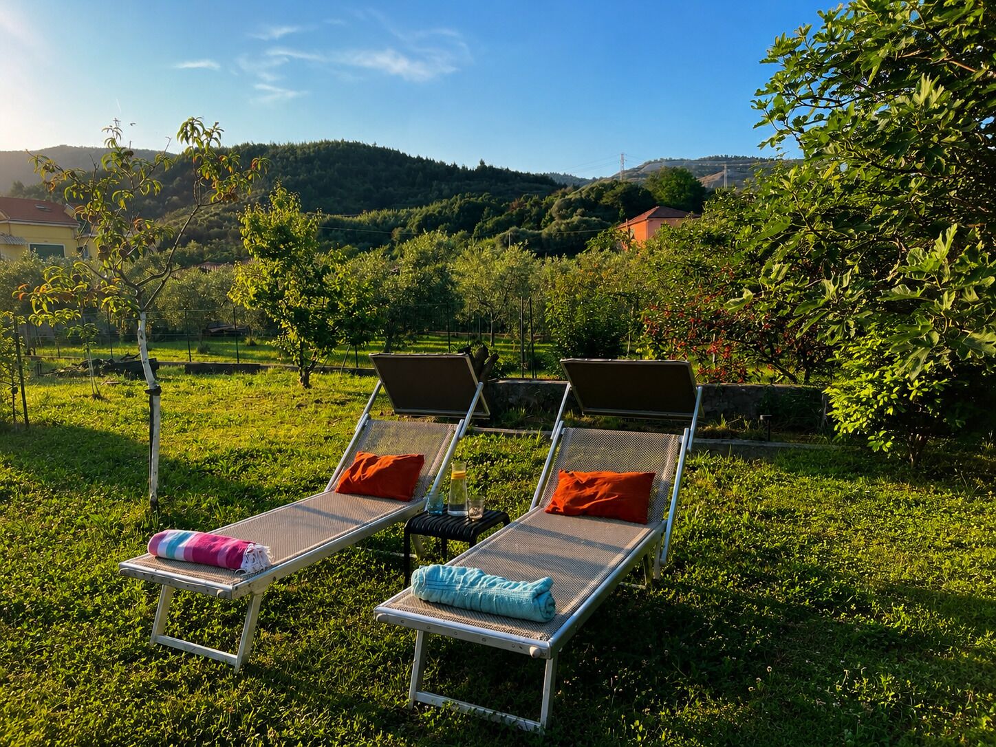 Dos sillones de exterior con cojines, en un entorno con césped y árboles.