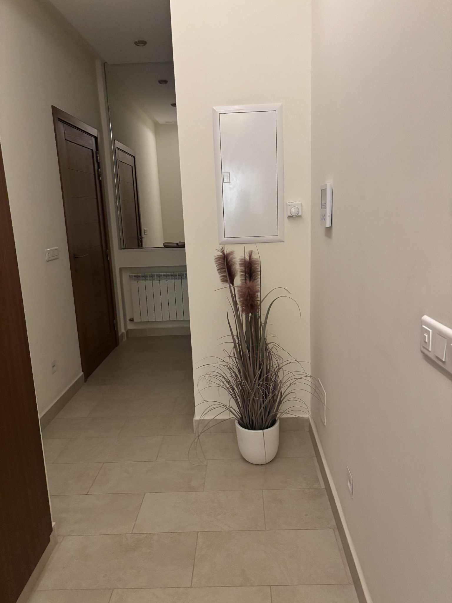 A hallway with a potted plant, a white door, and a thermostat on the wall.