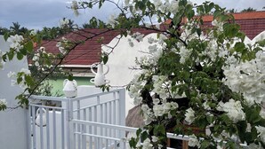 A potted white flowering plant in a courtyard with a white gate and a building with a red roof in the background. - Nusa Penida Homestay (Penida Island)