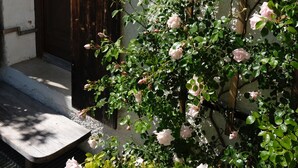 Una puerta de madera, una pared blanca con textura y un rosal trepador con flores rosas.