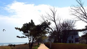 A paved walkway with trees and a view of the sea. - Apartment Seelöwe for 8 Guests, 90 m² Terrace, Beach Chair, Shared Garden in Juliusruh (Breege)