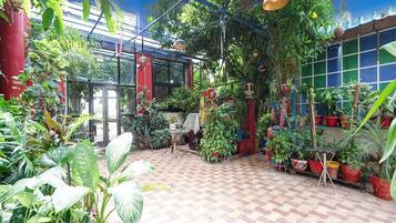 House | Terrace/patio
