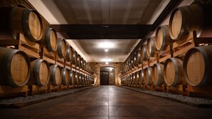 A wine cellar with rows of wooden barrels, a polished floor, and a brick wall. - Montalbera Wine Suites (Castagnole Monferrato)