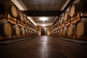 Winery - Montalbera (Castagnole Monferrato)