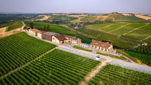 A vineyard estate with rows of grapevines, a large building with a red roof, and a paved driveway. - Montalbera Wine Suites (Castagnole Monferrato)