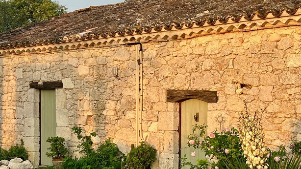 Un edificio de piedra con dos puertas, rodeado de follaje y plantas en macetas.
