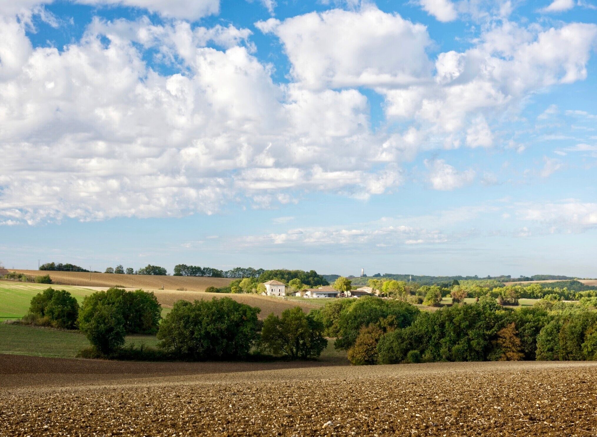 Een landelijk landschap met velden, bomen en een wit gebouw in de verte.