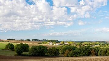 Een landelijk landschap met velden, bomen en een wit gebouw in de verte.