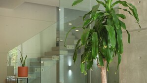 A modern indoor space with a large potted plant, a wicker bench, and a staircase. - Hotel Macondo Quinta Avenida by Ruha (Playa del Carmen)