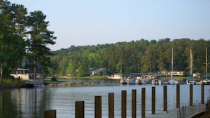 A waterfront dock with wooden posts, calm water, and a forested hill in the background.