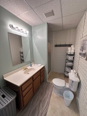 Bathroom - Tranquil 7-bedroom house in charming small-town Petersburg (Petersburg)