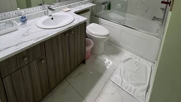 Hair dryer, towels, soap, toilet paper
