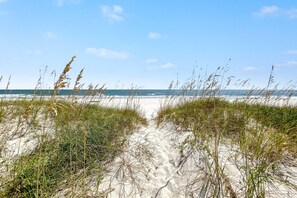 Ein sandiger Strand mit hohem Gras im Vordergrund und einem klaren, blauen Himmel.