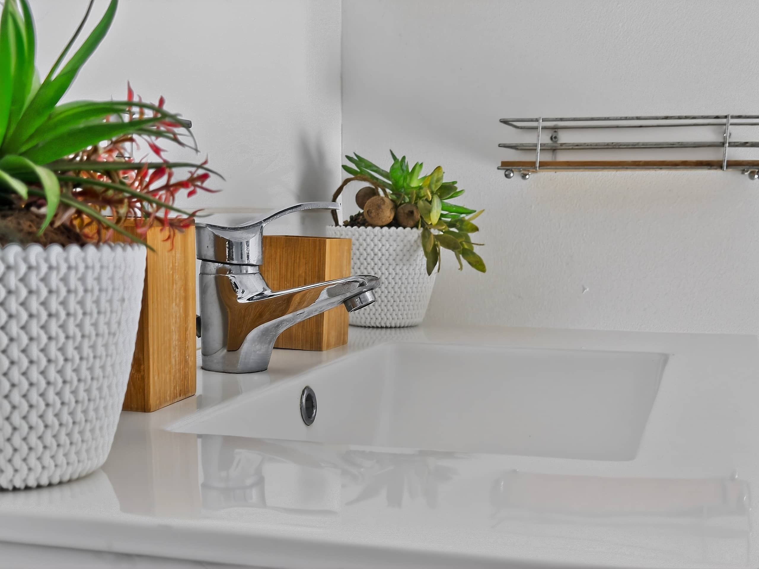 Ein Badezimmer mit einem weißen Waschbecken, einem chromfarbenen Wasserhahn und zwei Blumentöpfen.