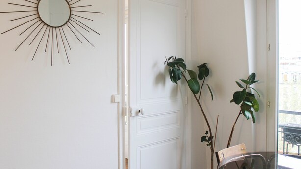 Et værelse med en hvid dør, et solskins spejl og en potteplante.