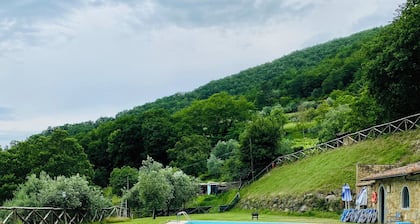 Farmhouse Il Colle - Rustic apartment surrounded by greenery with swimming pool