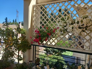 Property grounds - Apartment 'Fox's Sunshine' with Balcony, Wi-Fi and Air Conditioning (Alepou)