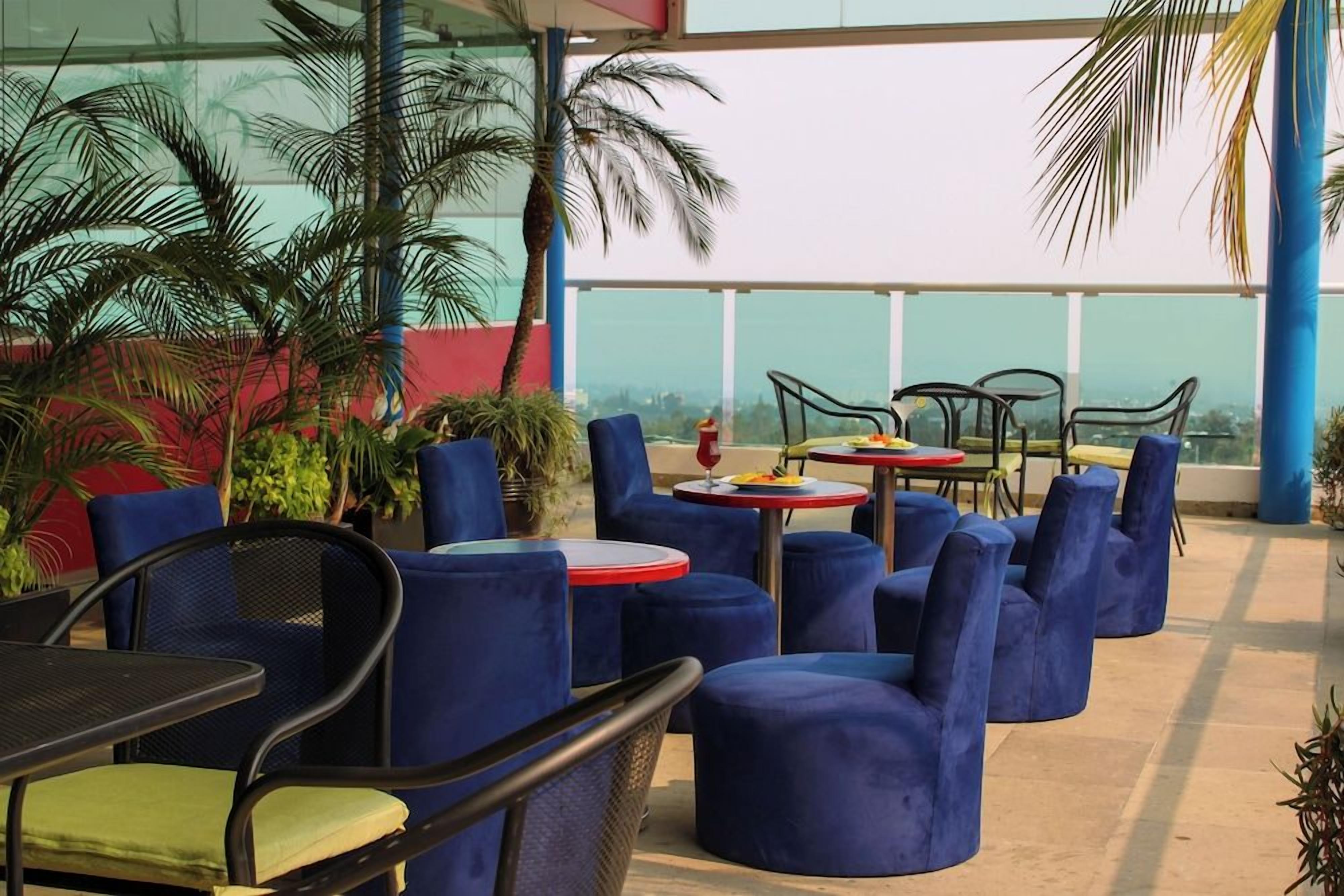 An outdoor seating area with round tables and blue cushioned chairs, surrounded by potted plants and overlooking a cityscape.