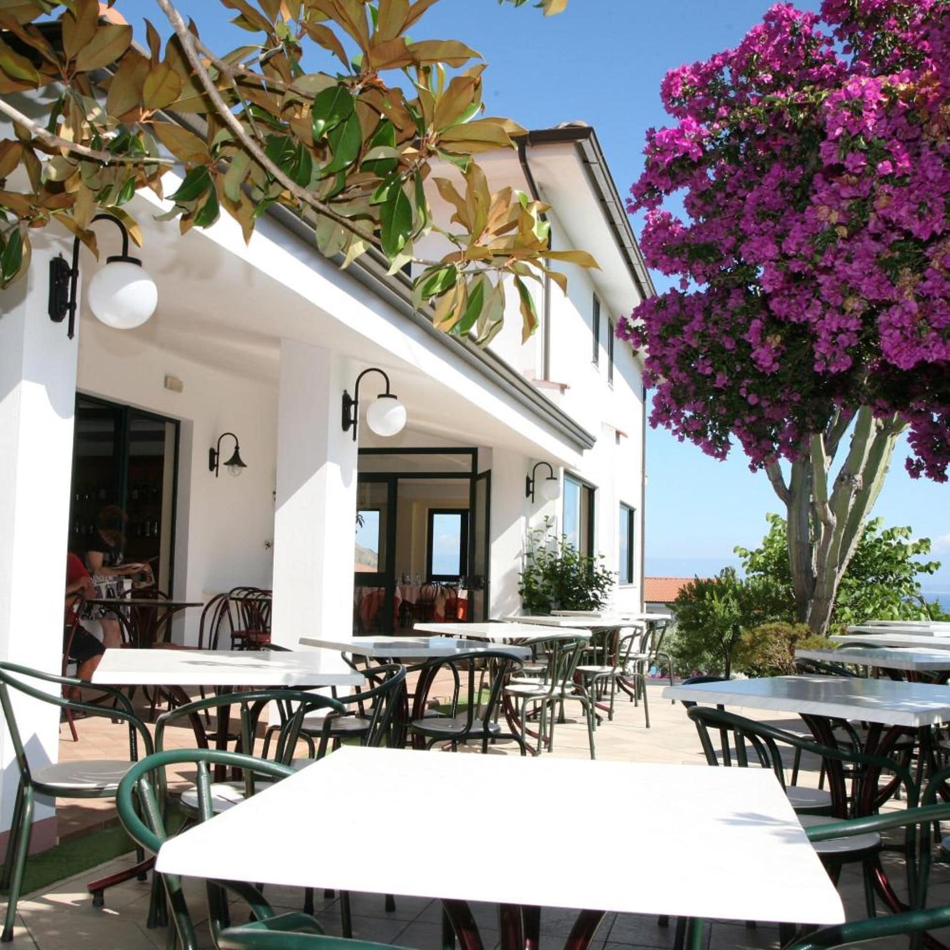 An outdoor seating area with tables and chairs, a white building with windows, and a tree with purple flowers.