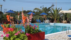 Una piscina amb plantes i ombrel·les al voltant.