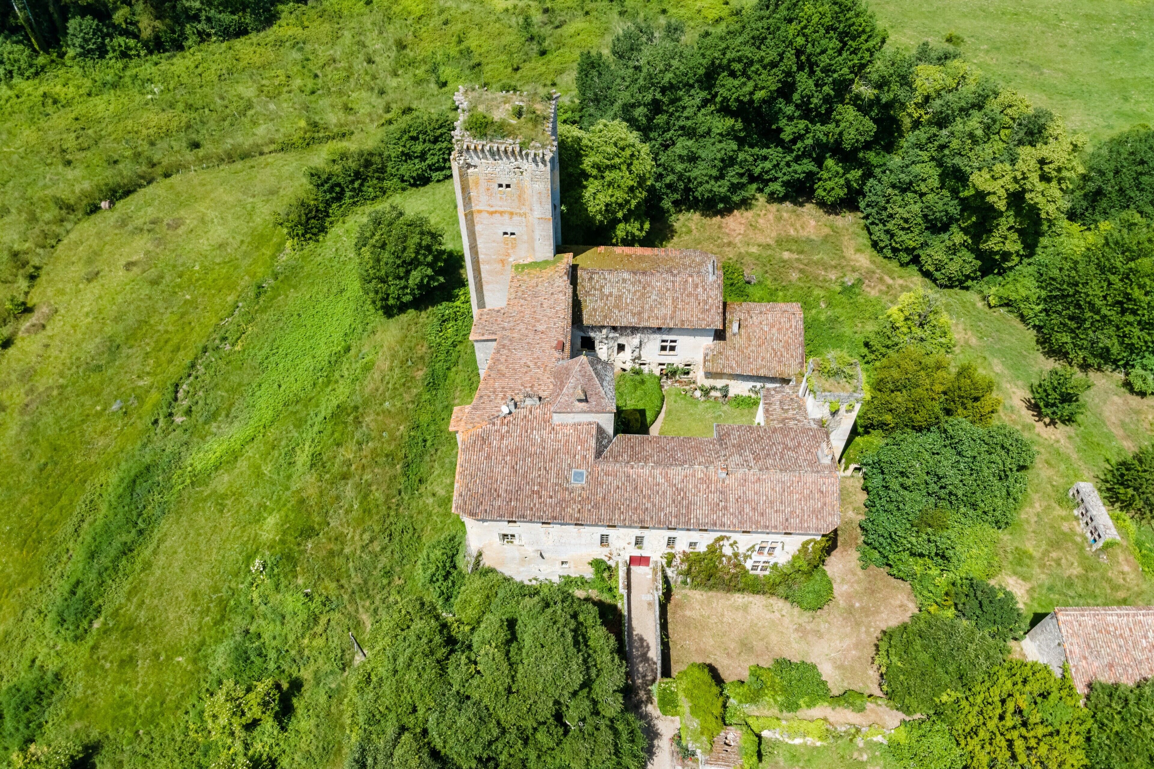Vista aérea de un castillo con una torre, rodeado de exuberante vegetación.