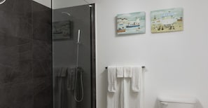 A bathroom with a glass shower enclosure, a white toilet, and two wall-mounted paintings.