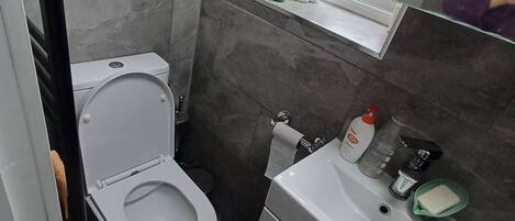 A small bathroom with a toilet, sink, and mirror.