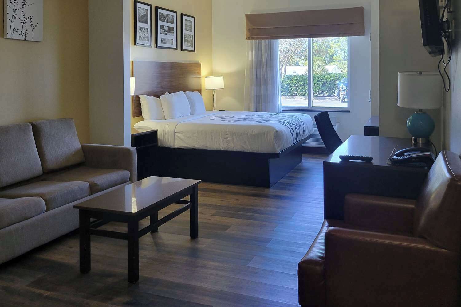 Une chambre d’hôtel avec un lit, un canapé, un bureau et une télévision.